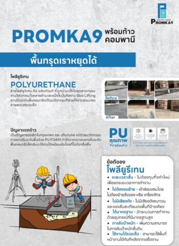 Promka9 PU