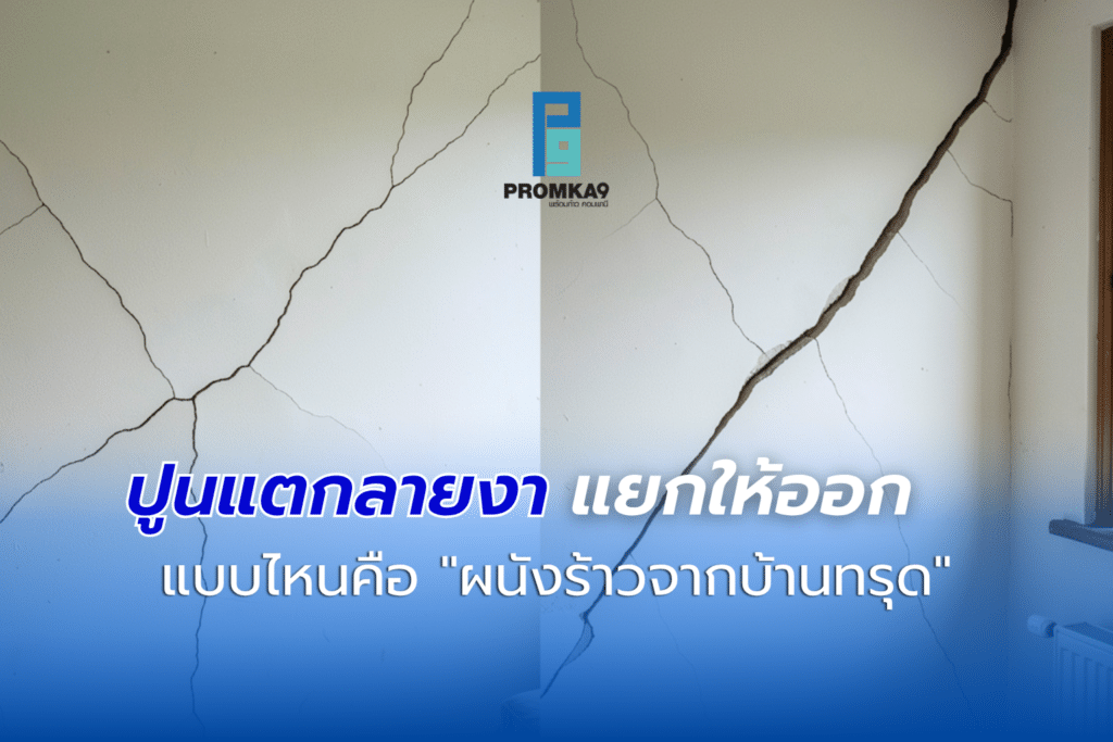 เข้าสู่หน้าฝนทีไร นอกจากความชื้นแฉะแล้ว หลายท่านอาจเริ่มสังเกตเห็น